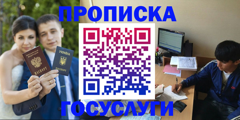 временная регистрация в Новгородской области